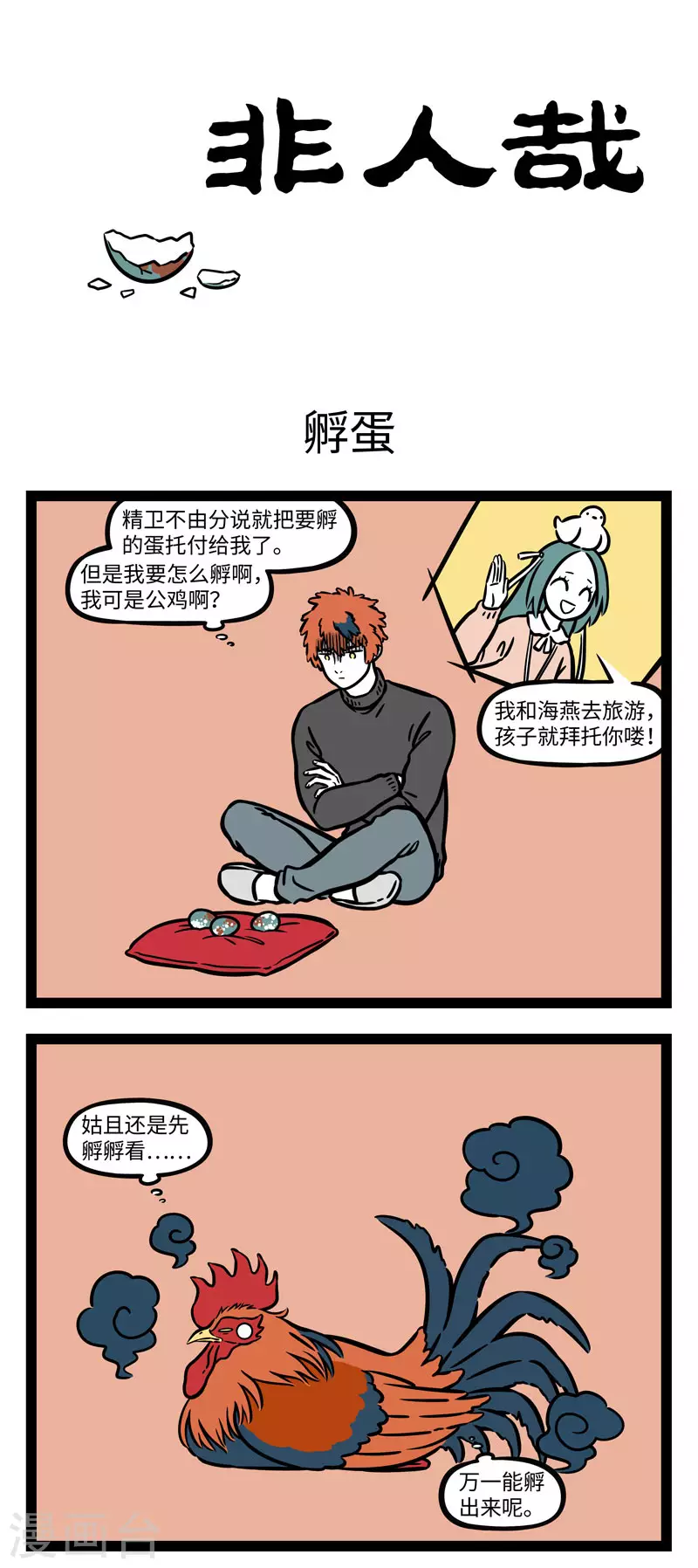 第643话 孵蛋公鸡，公鸡中的战斗鸡0