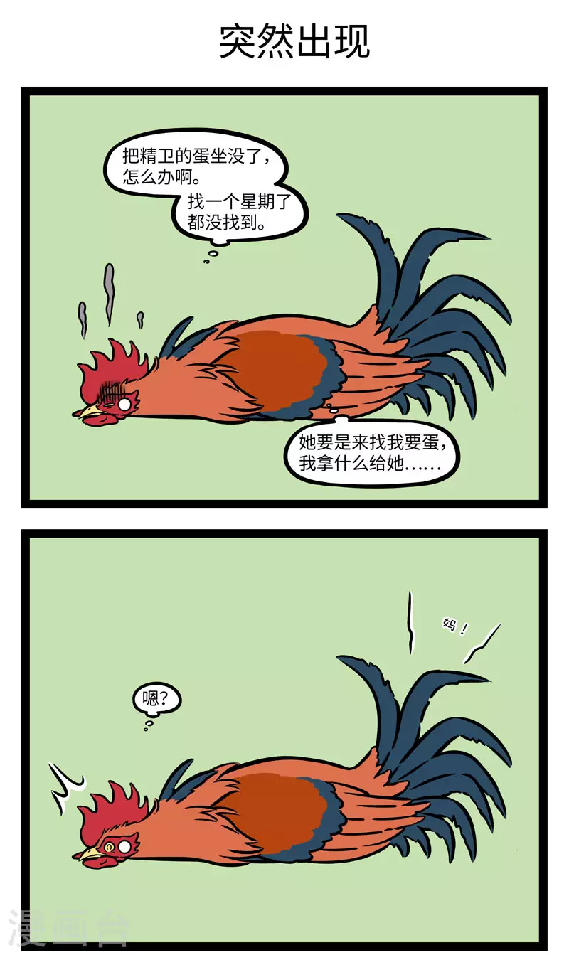 第643话 孵蛋公鸡，公鸡中的战斗鸡2