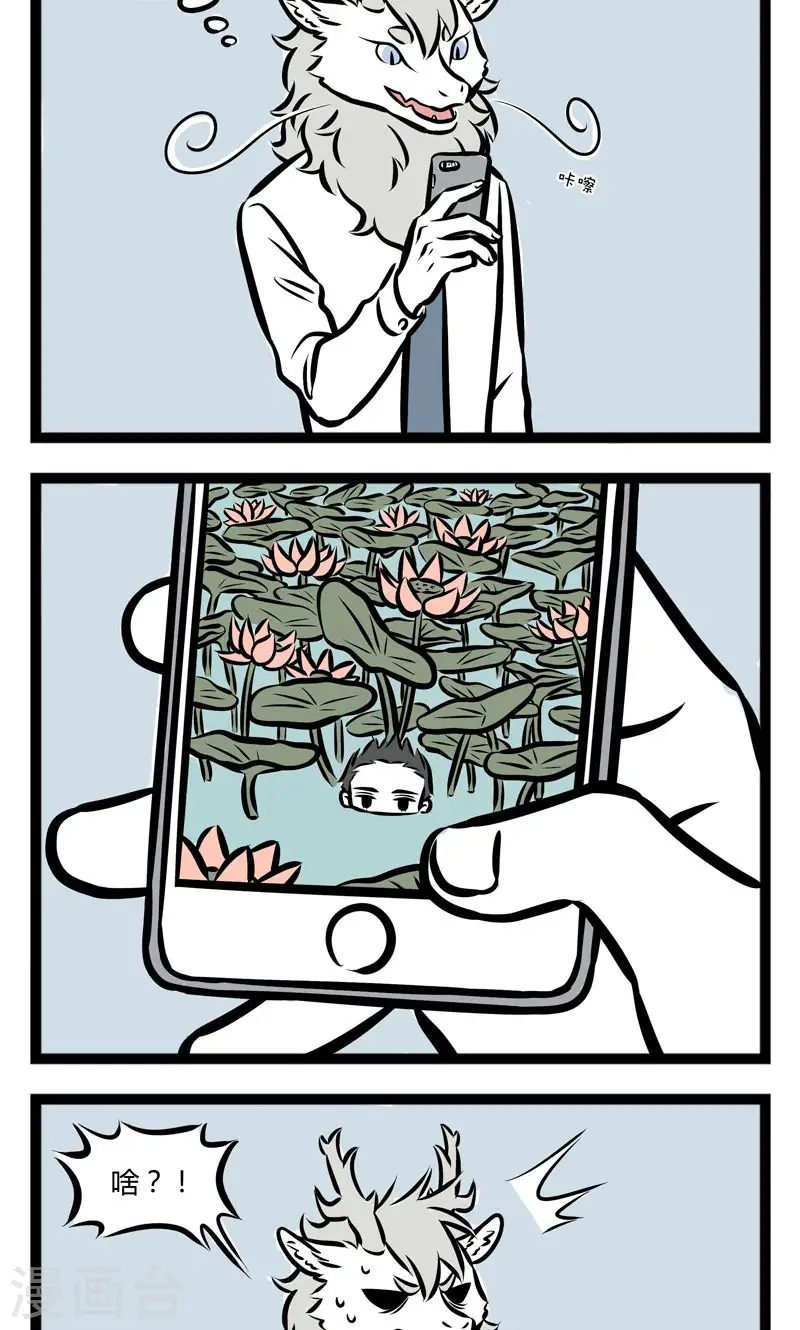 第233话 荷塘1