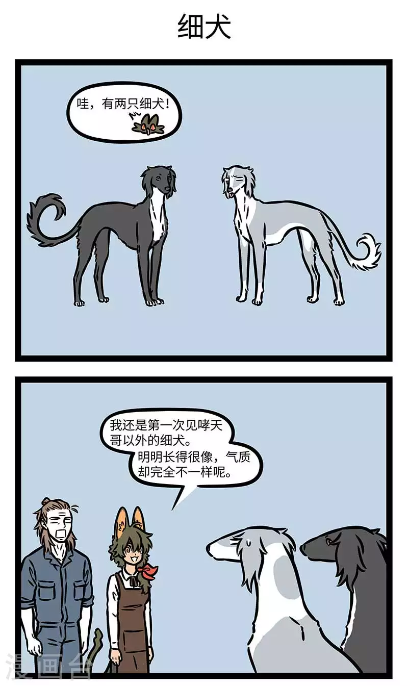 第829话 无独有偶，好狗成双。2