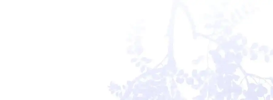 第36话 无福之人147