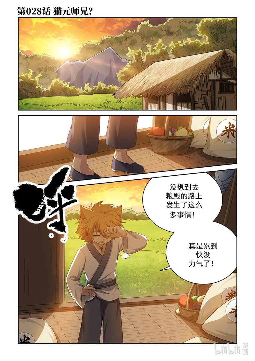 第028话 猫元师兄？0