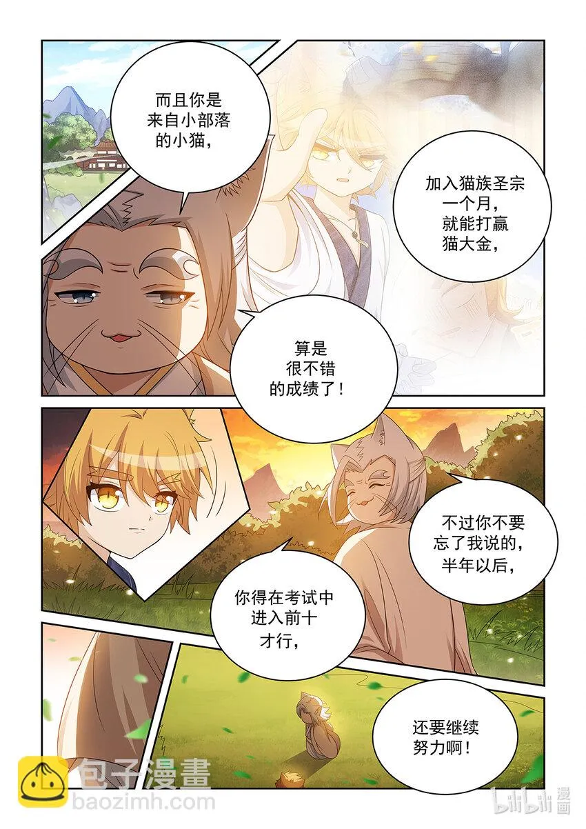 第028话 猫元师兄？5