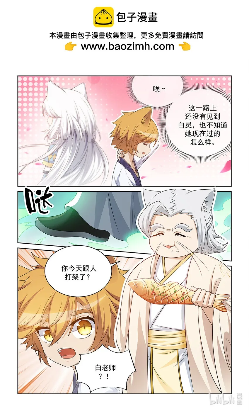 第028话 猫元师兄？1