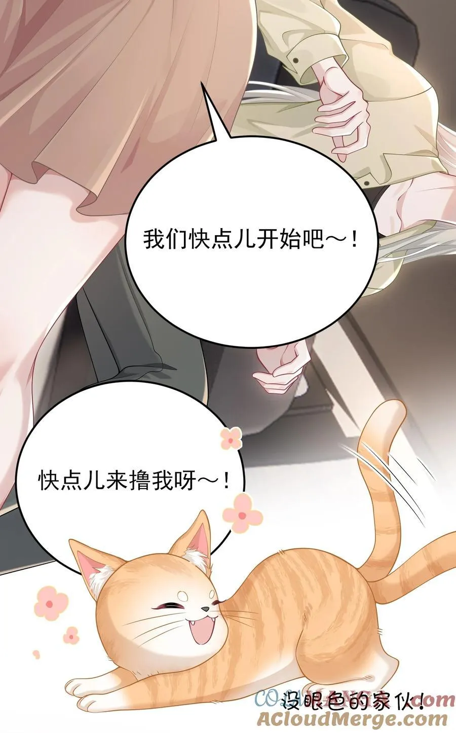 027 快点来撸猫27