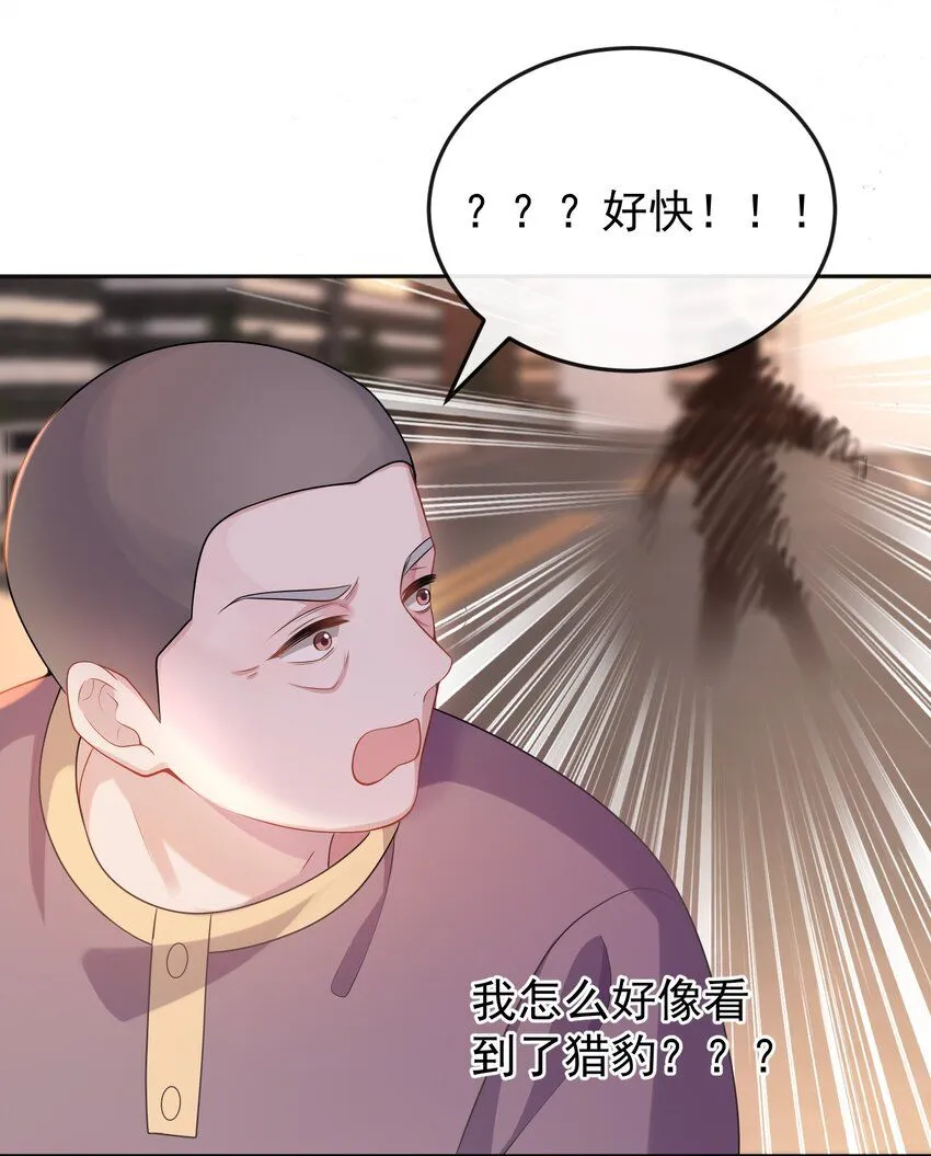 005 怎么好像看到了猎豹？！17