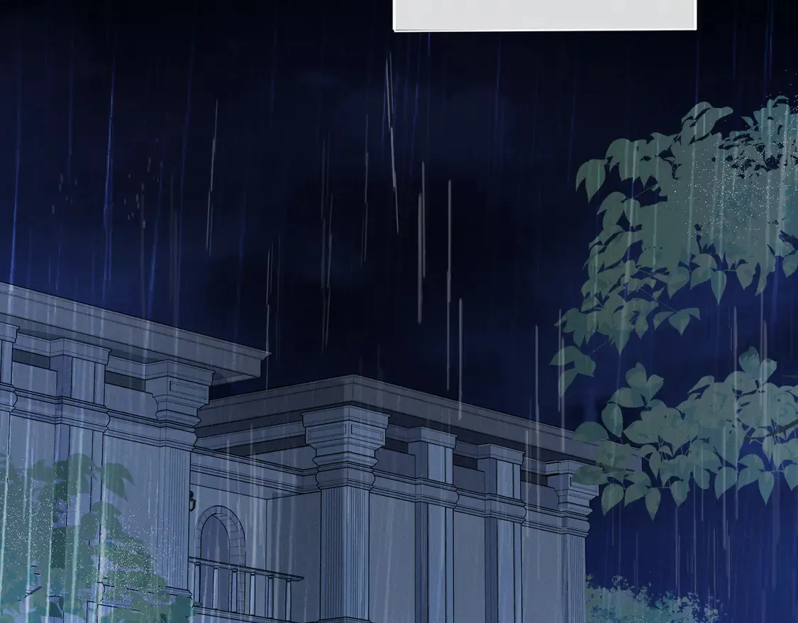 雨夜5