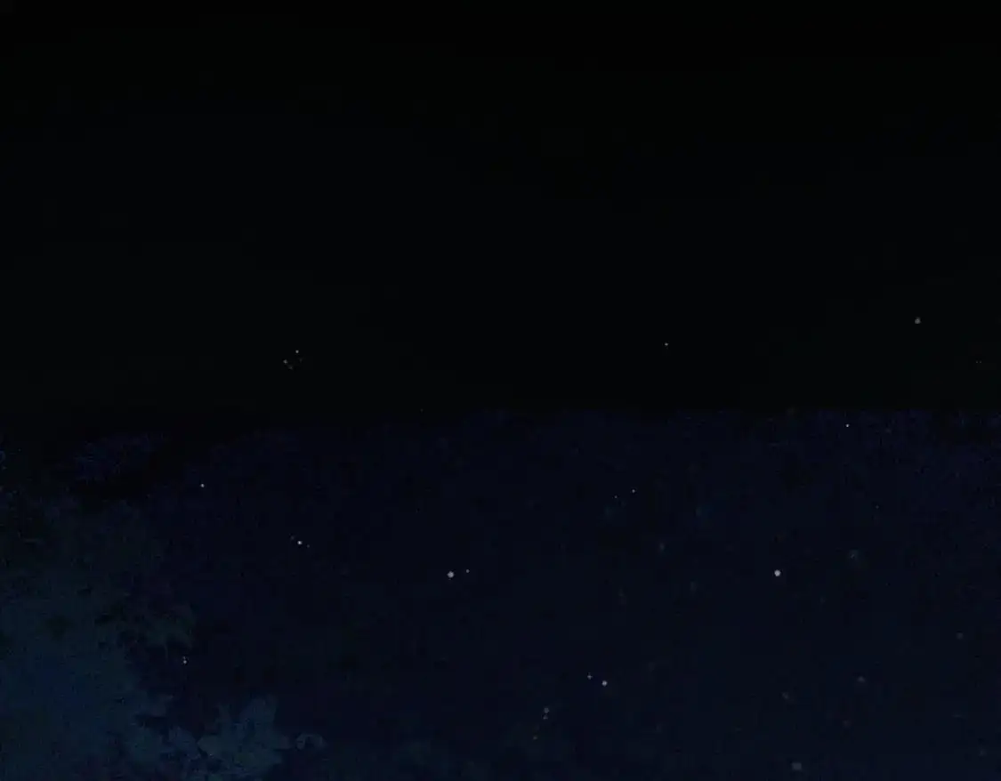 第十二话 你签字吧21