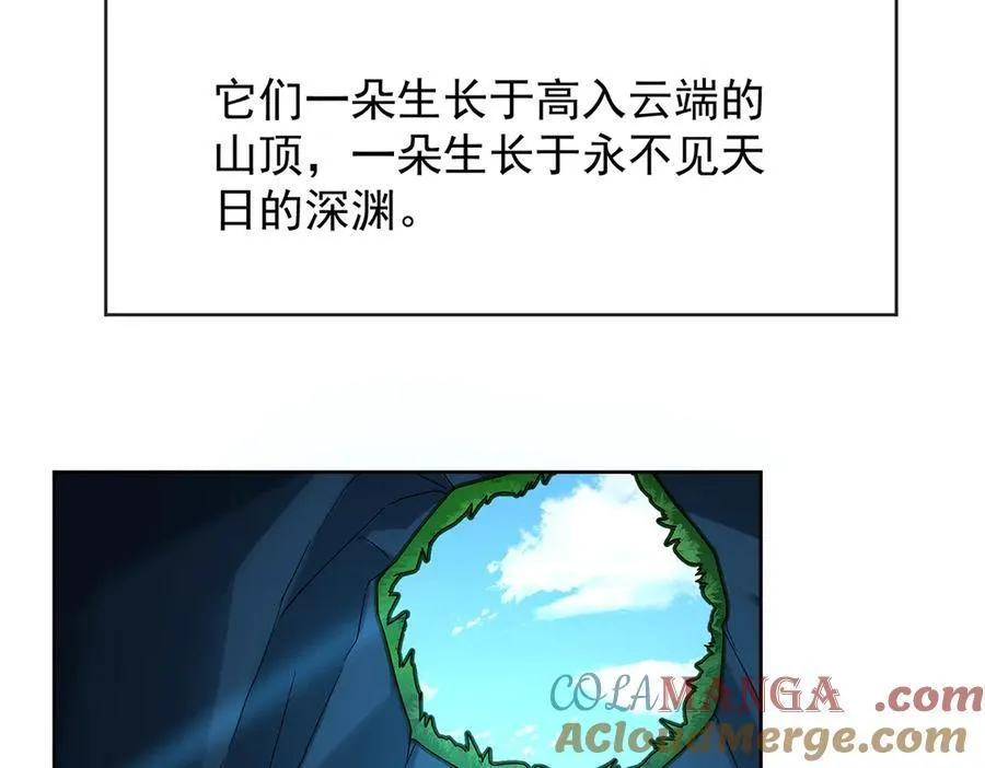 番外：光与影的女神8