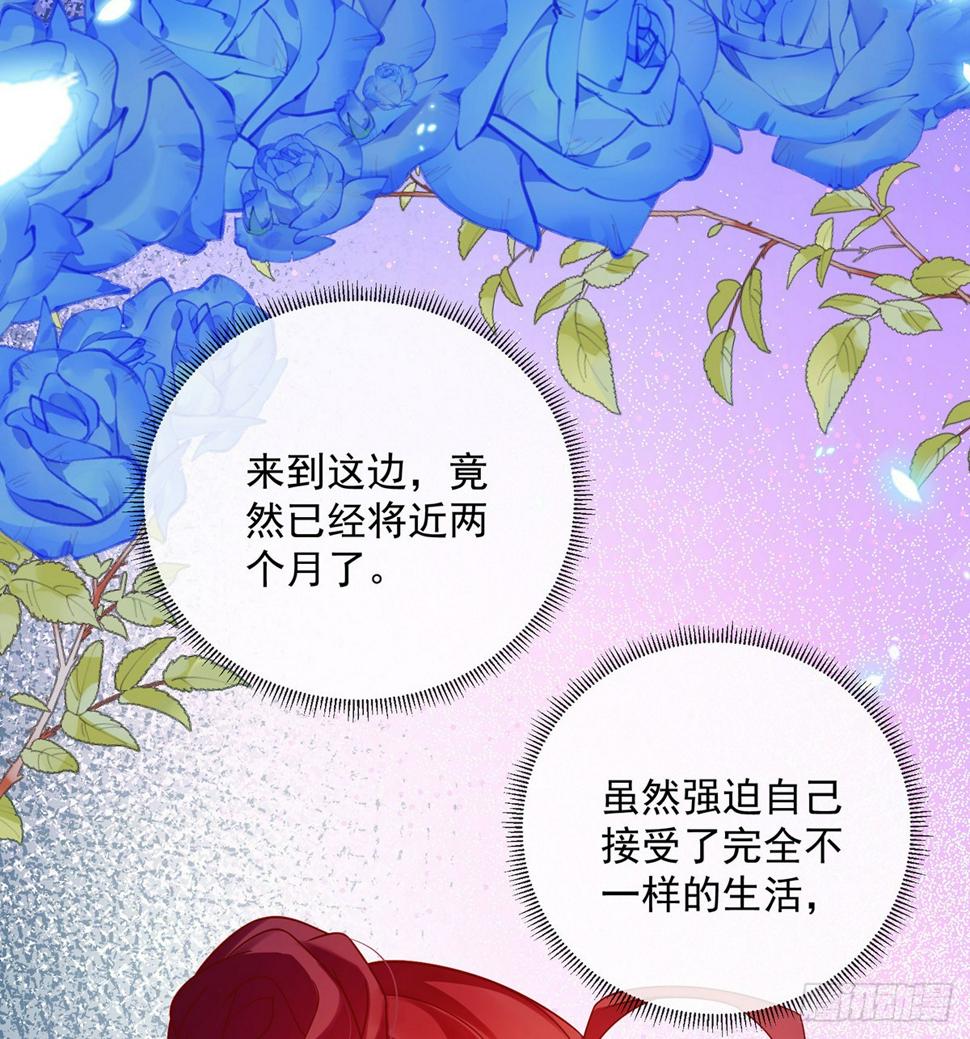 你是不是不敢碰我53