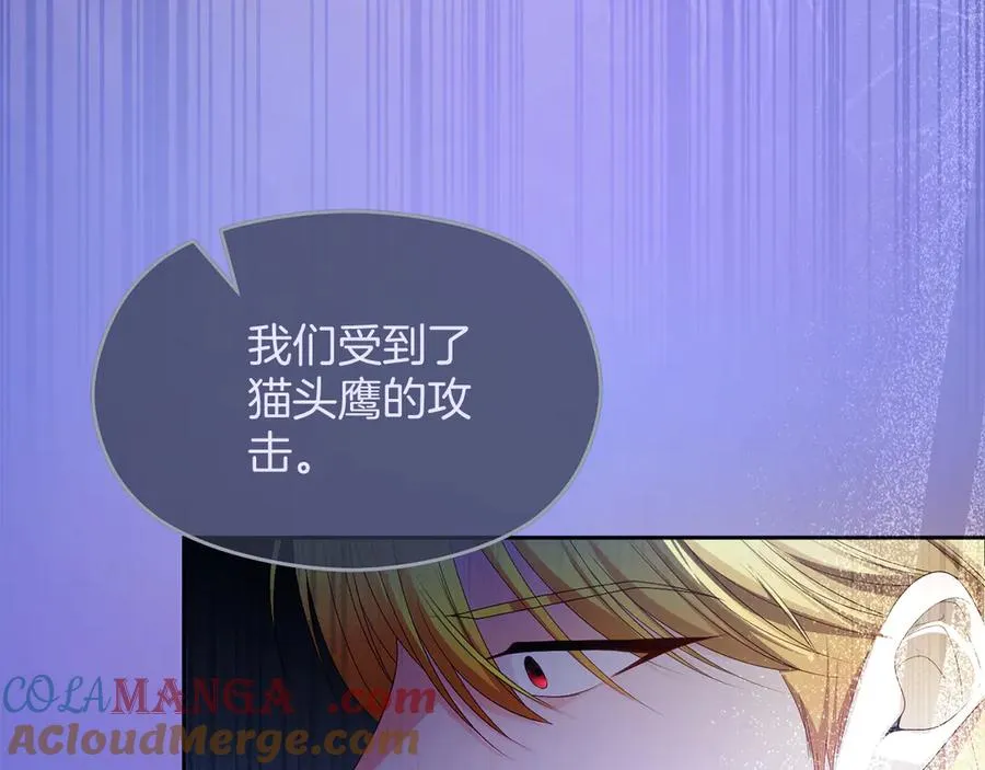 第66话 开始行动132