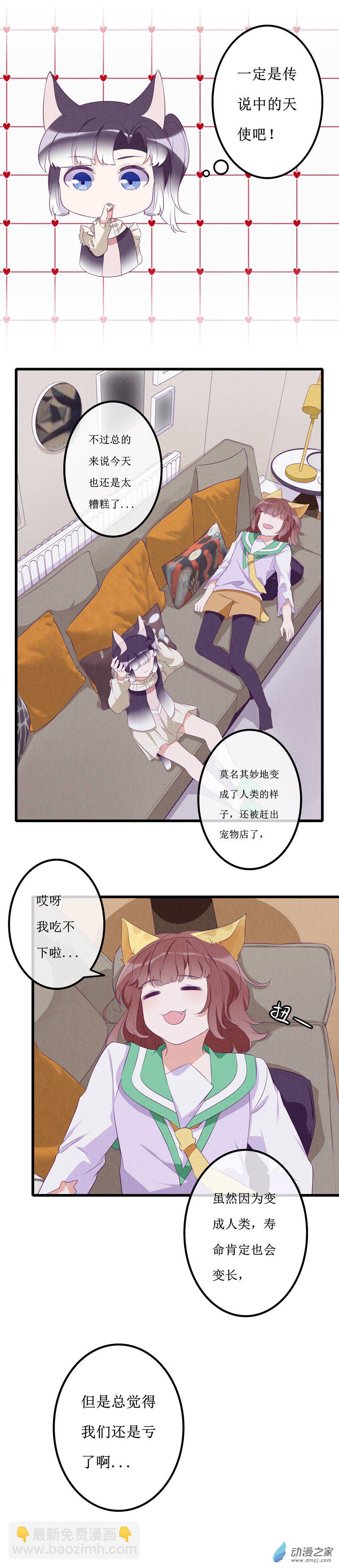 13 投宿113