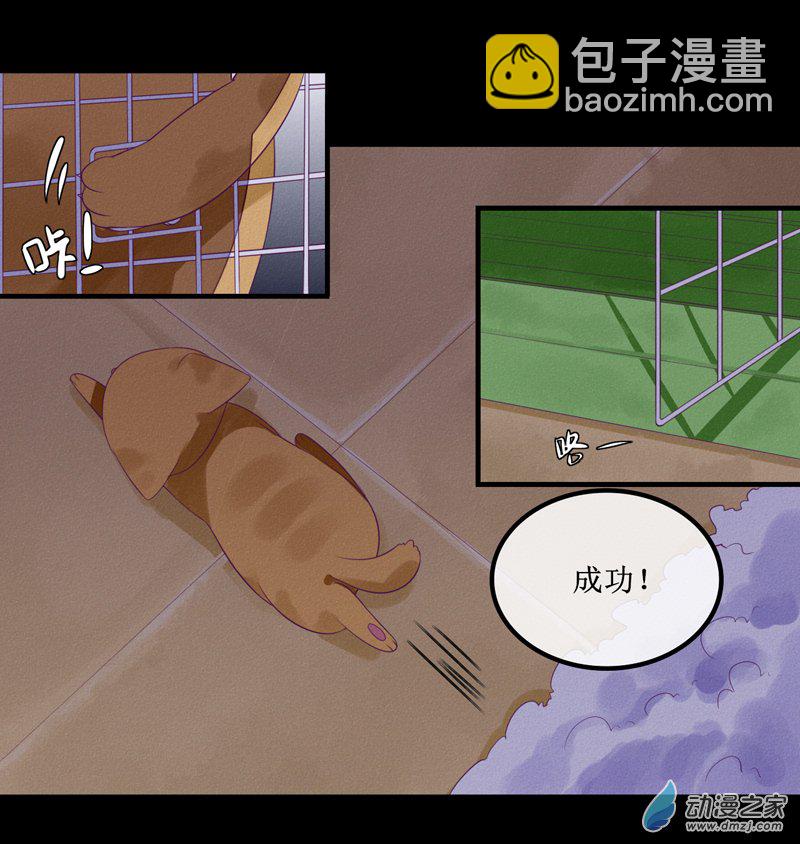01 药水4