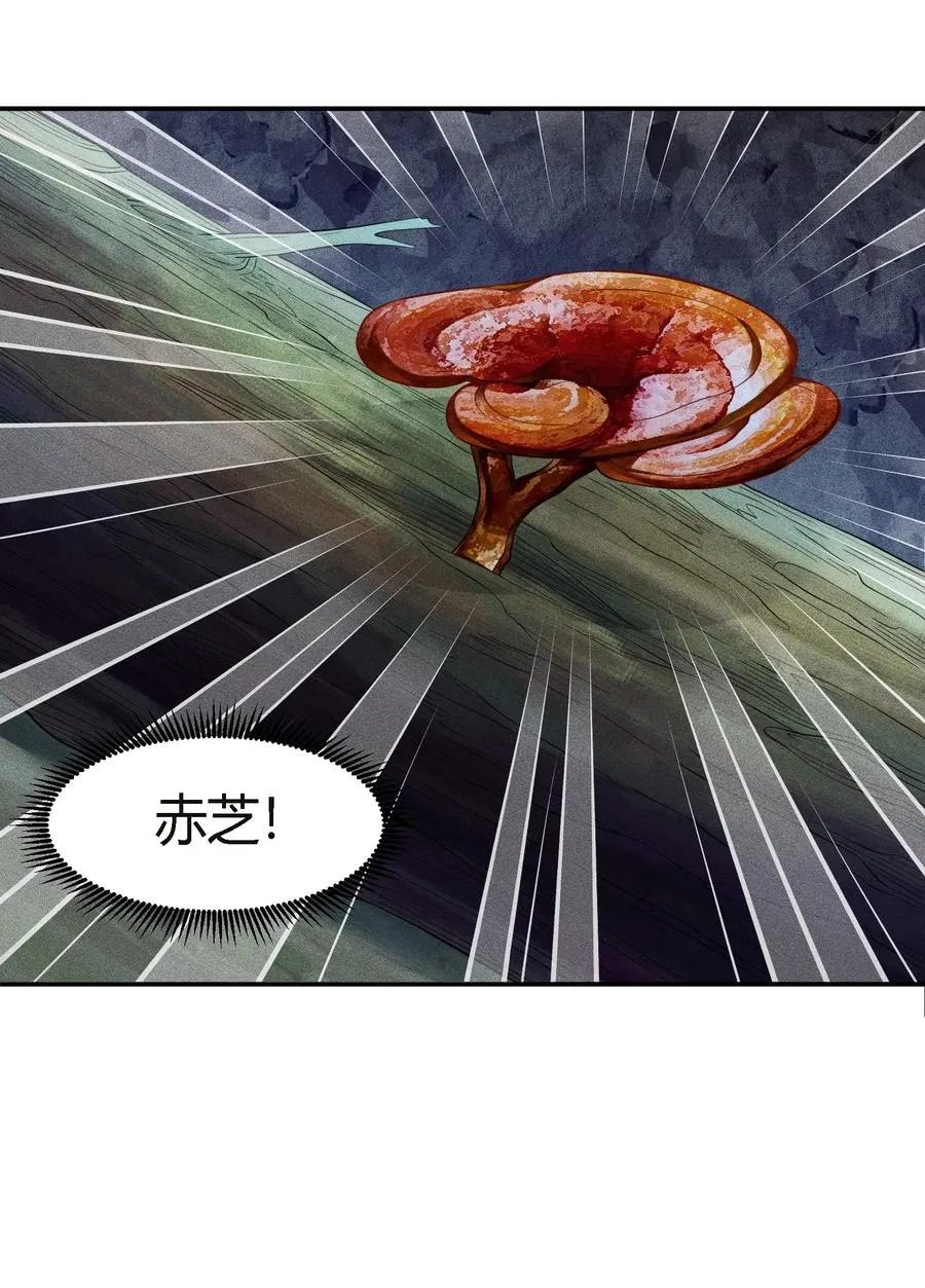 11 福兮祸所依7