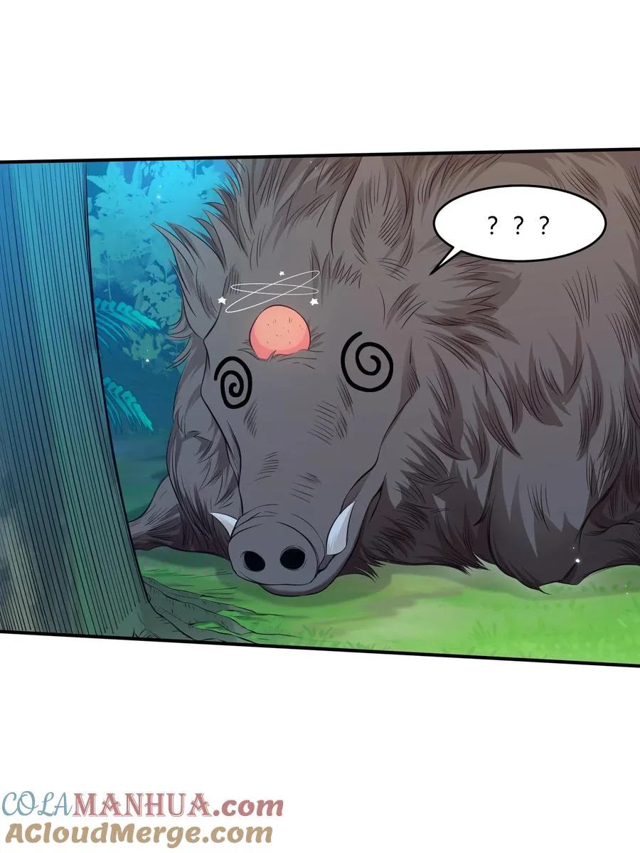 06 杀野猪3