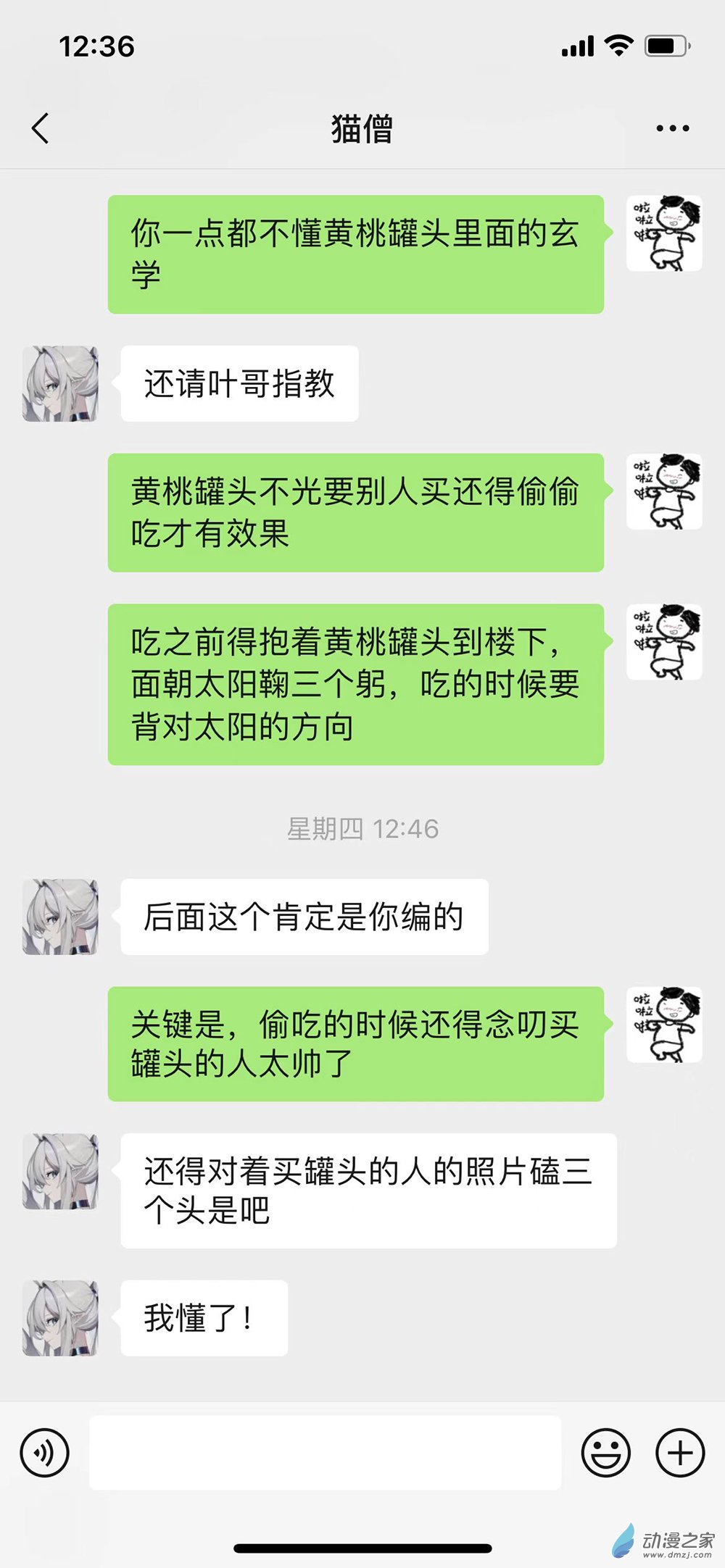给猫僧的礼物1