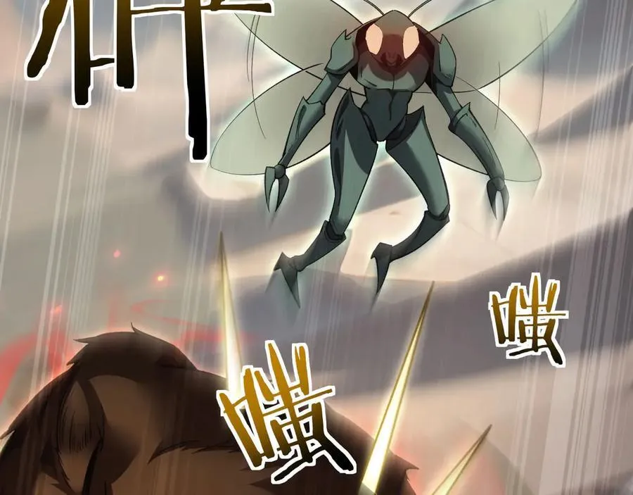 17 重回巅峰55