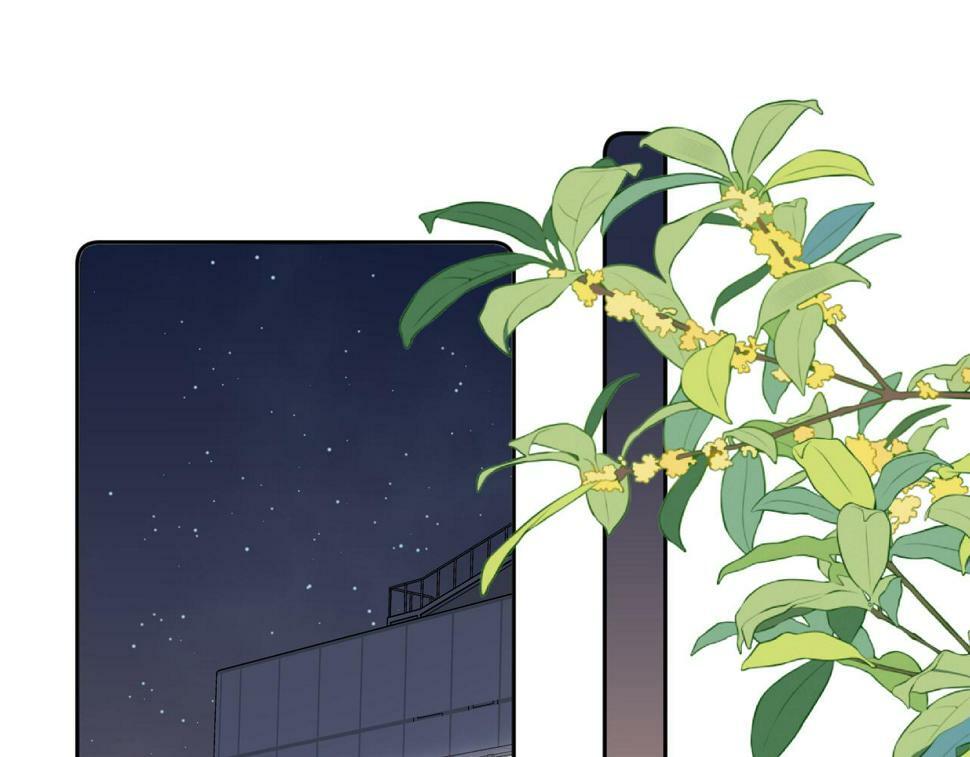 第11话 奖励50