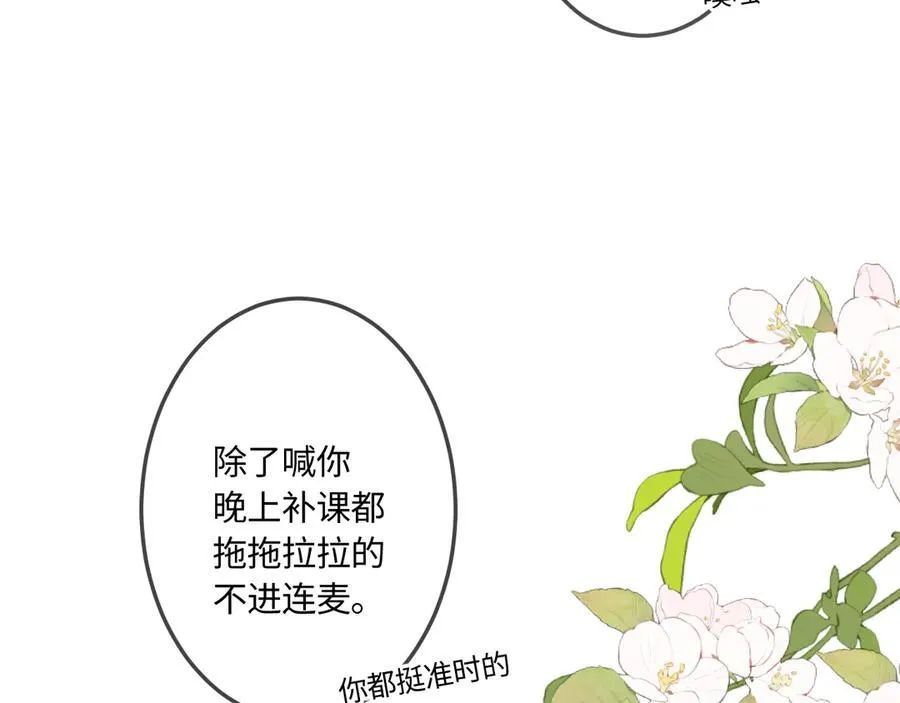 第41话 我会想你6