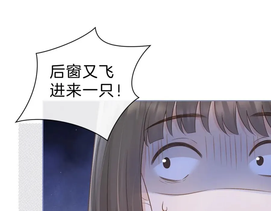 第三十六话 飞蛾17