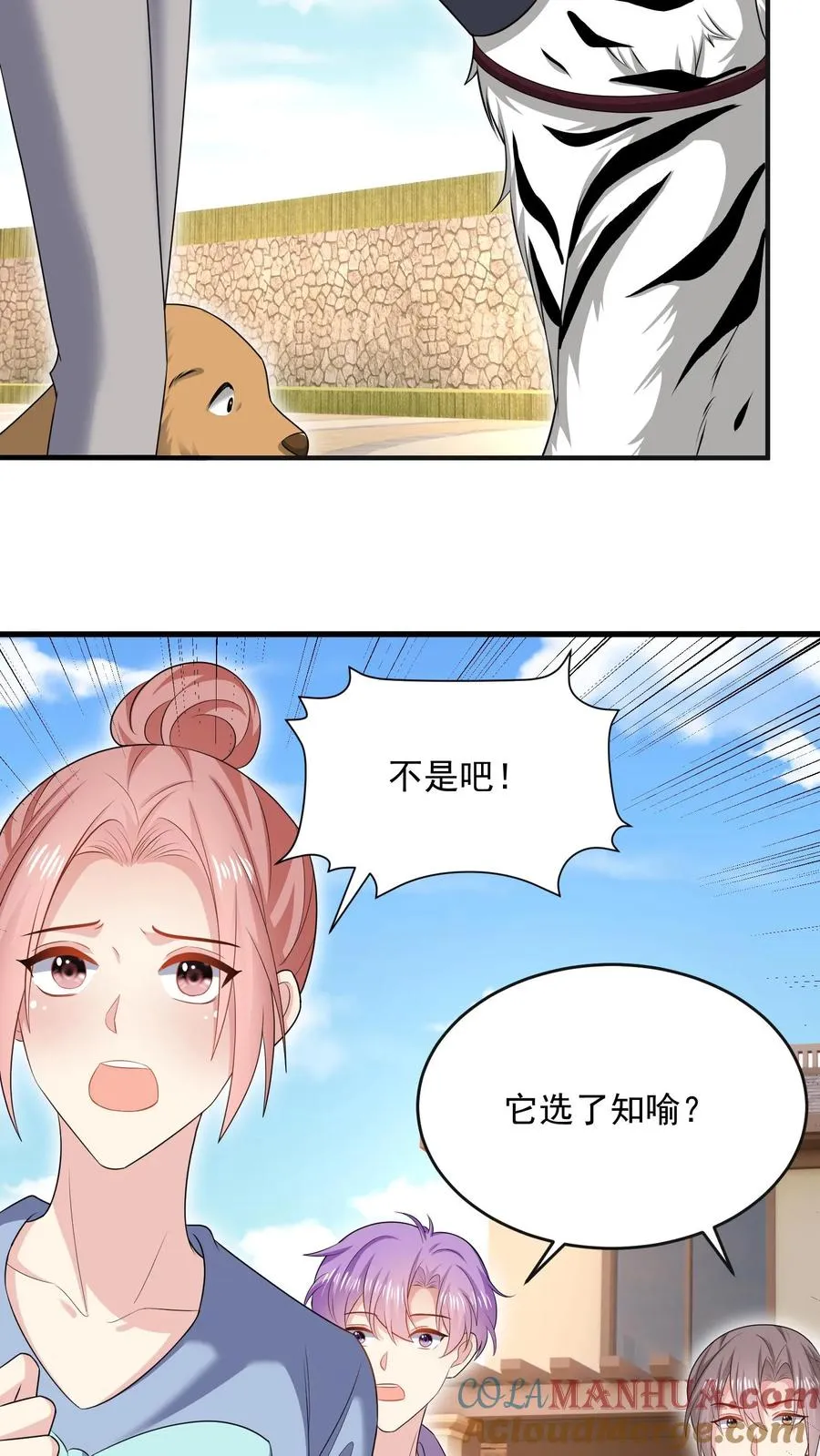 第43话 小白的任务8