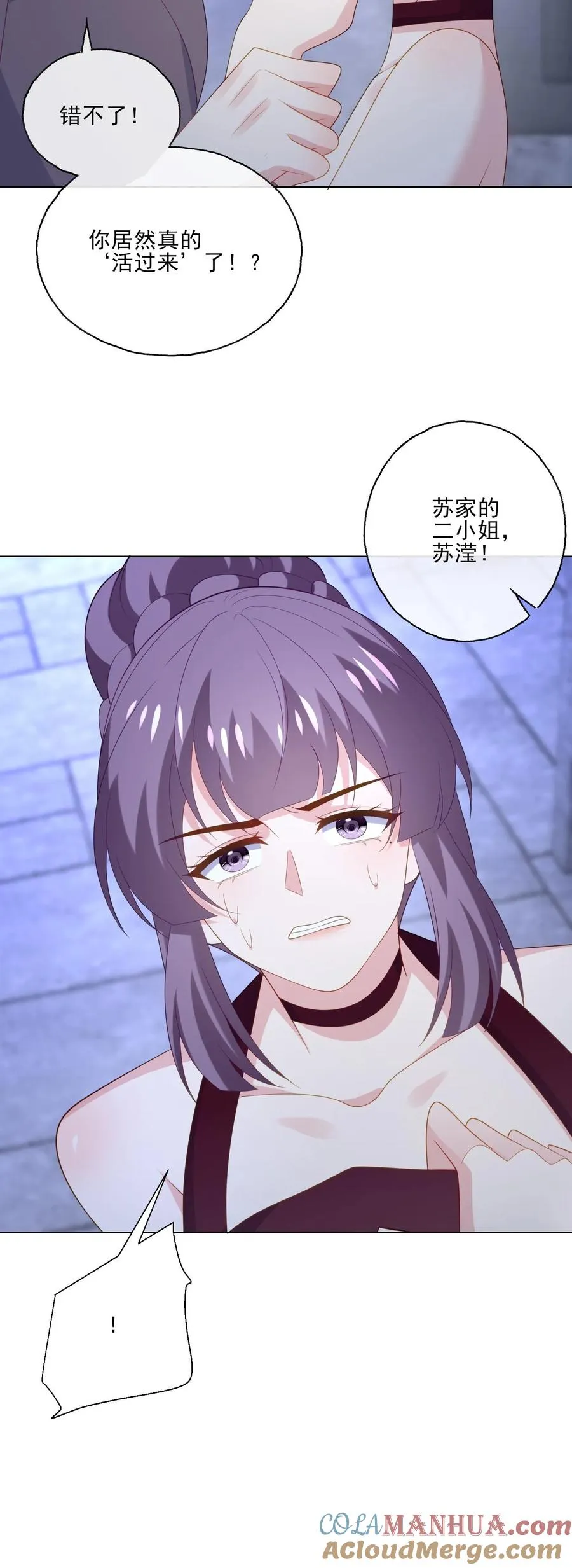 第242话 诱饵与目标24