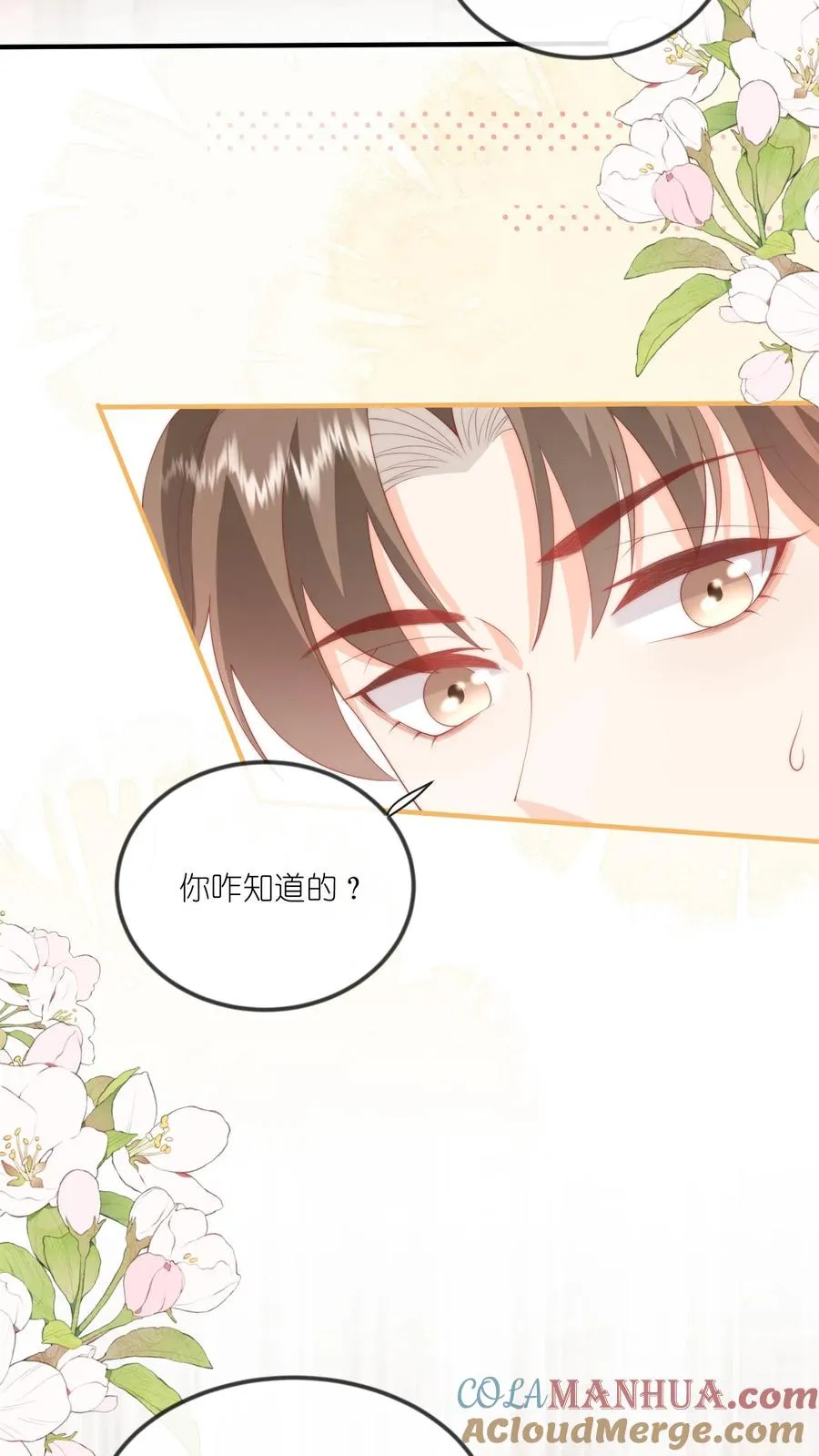 第52话 事情的真相10