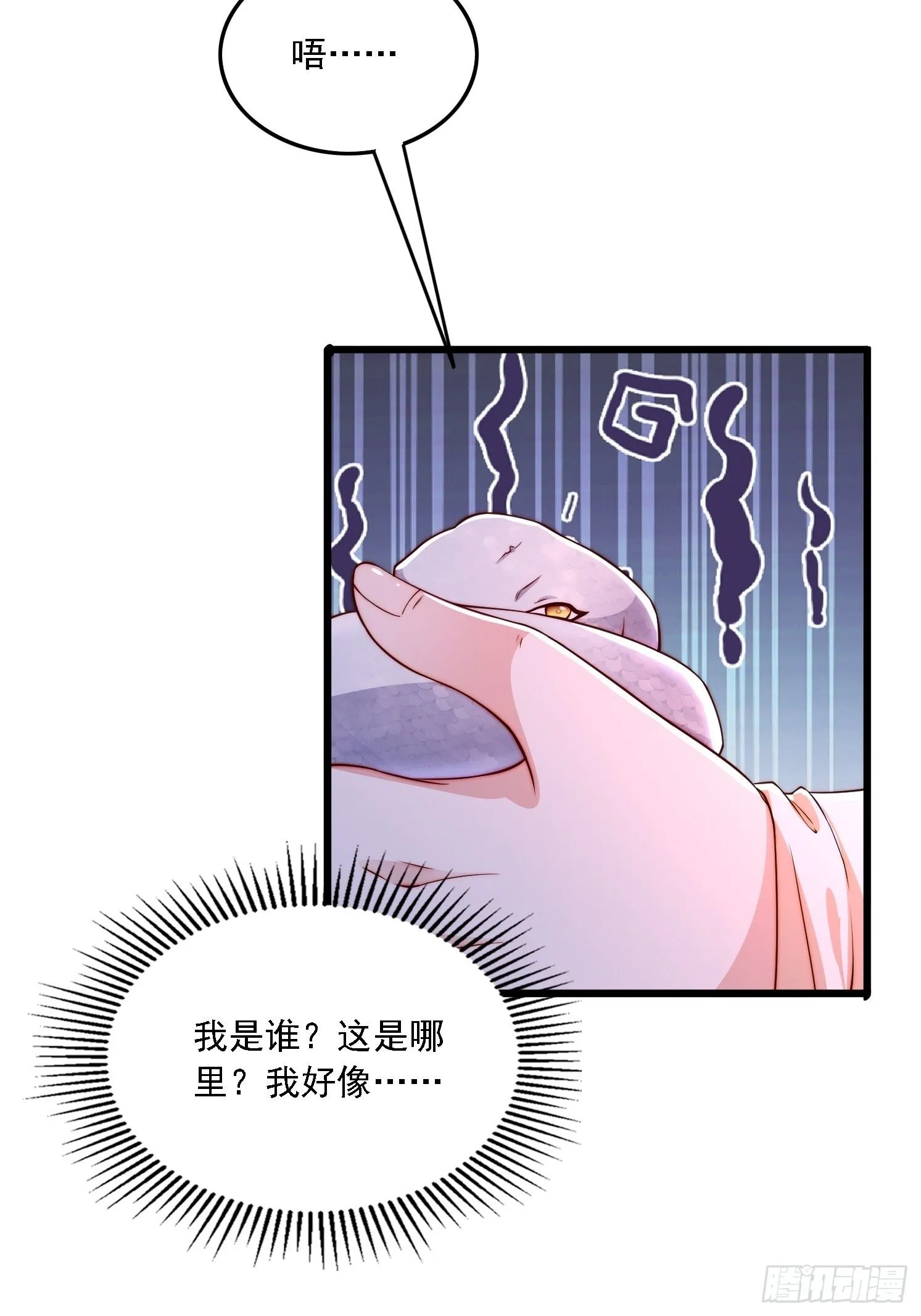 12 变身23