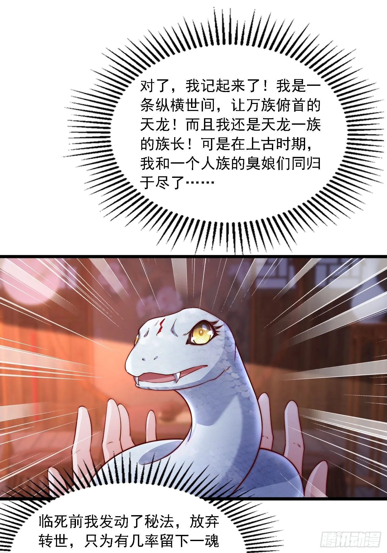 12 变身25
