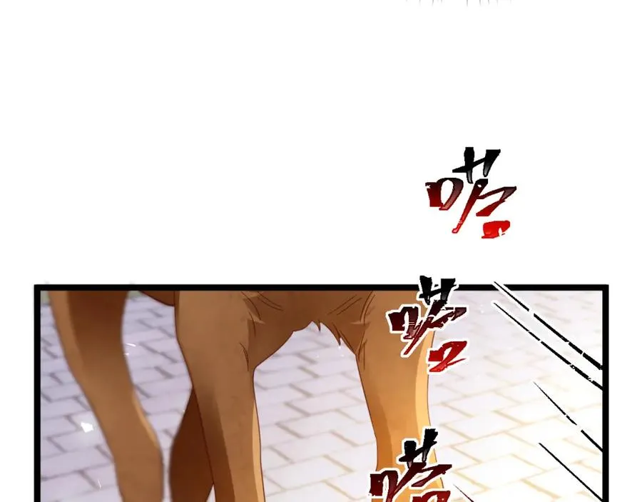 013 收获迷弟81