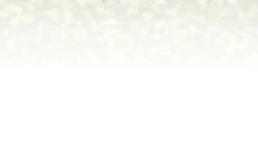 001 死不了203