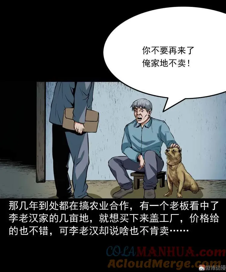 狗33