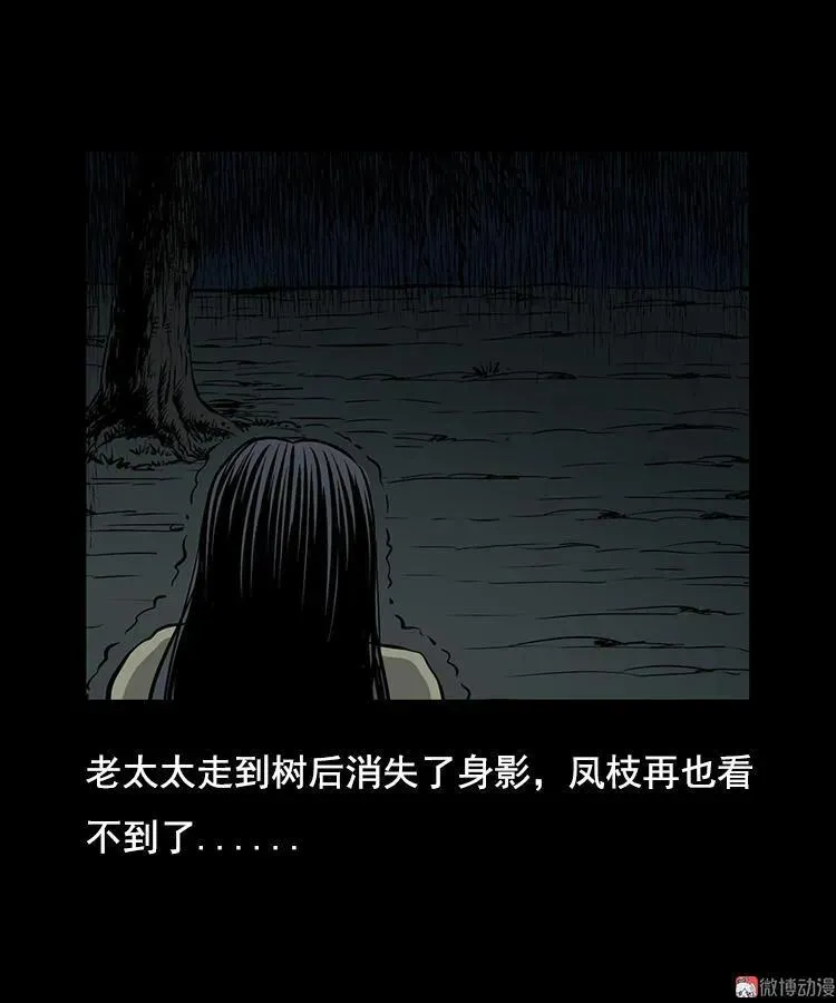花柳树32