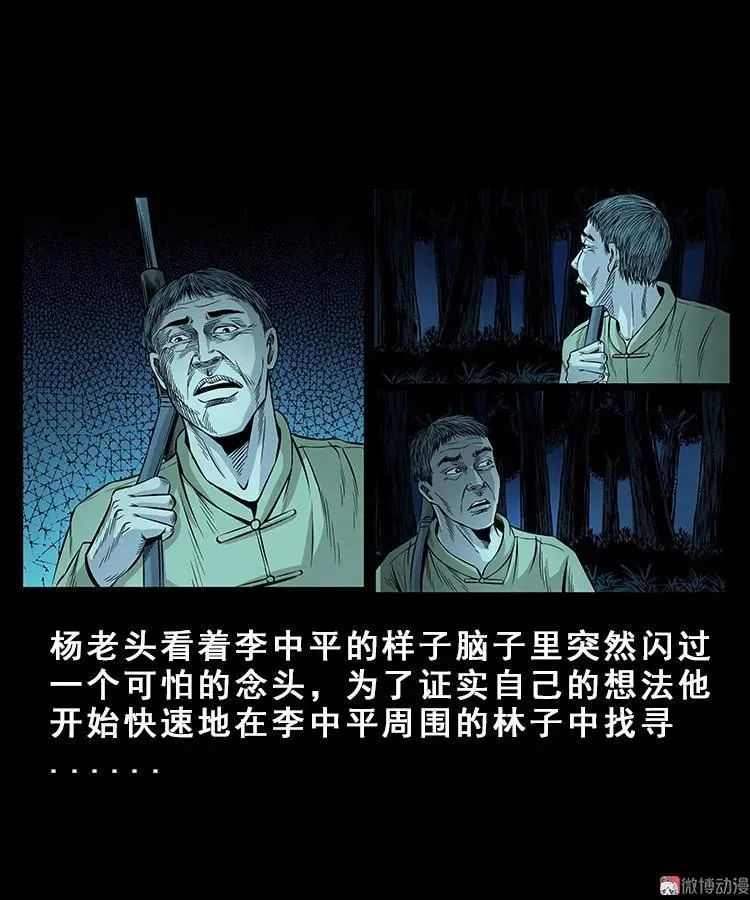 人面獾34