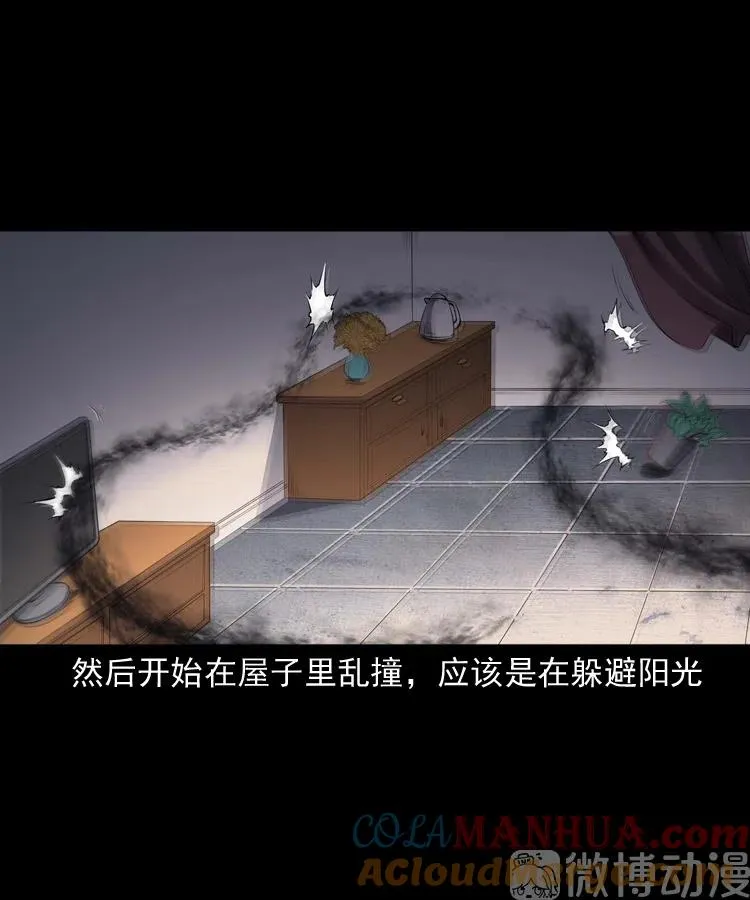 白头翁之招错魂63