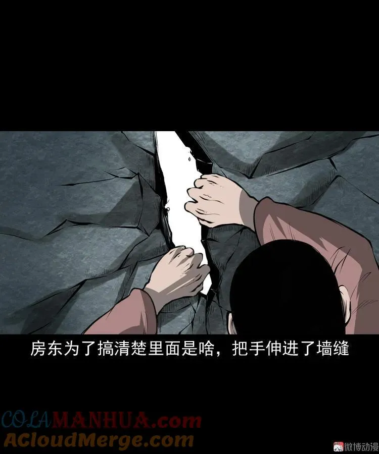 墙里的声音51
