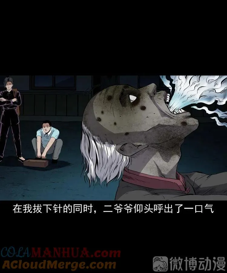 白头翁之诈尸下集68