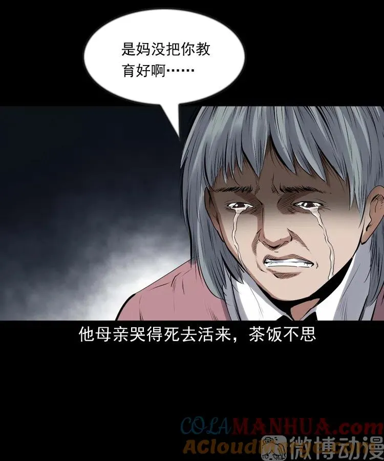 回来的逆子30