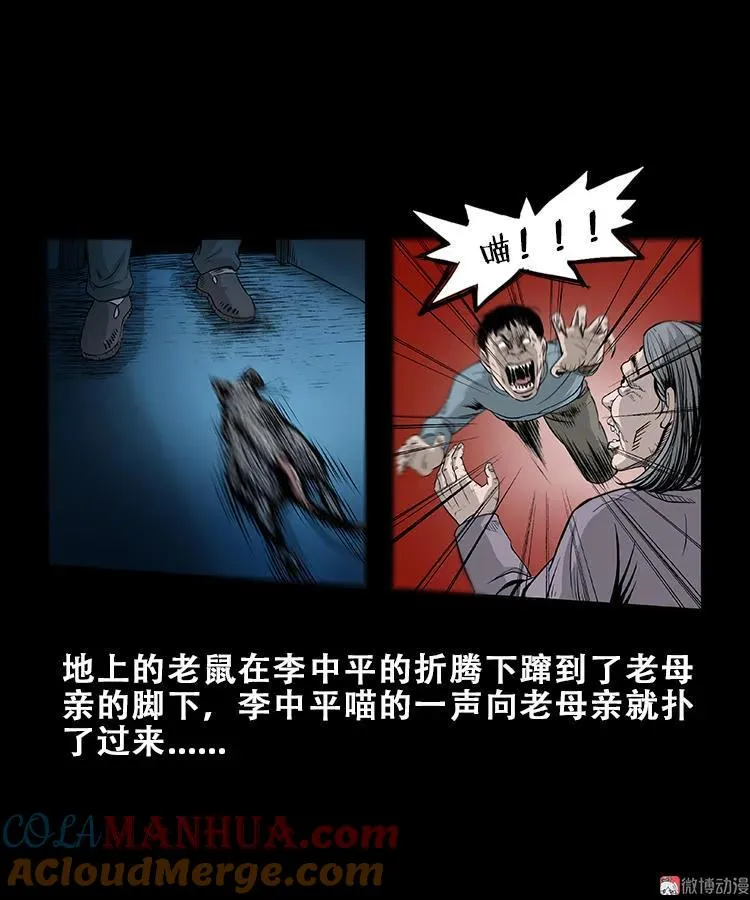 黑猫28