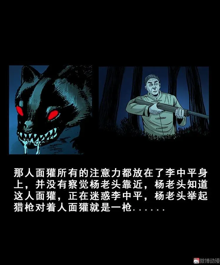 人面獾37