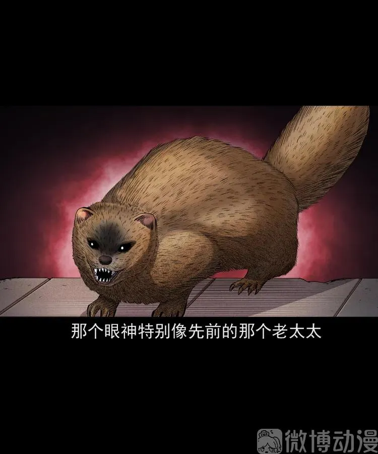 仙家异闻71