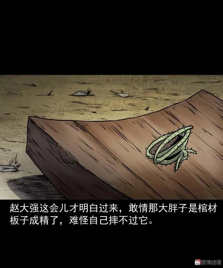 棺材精65