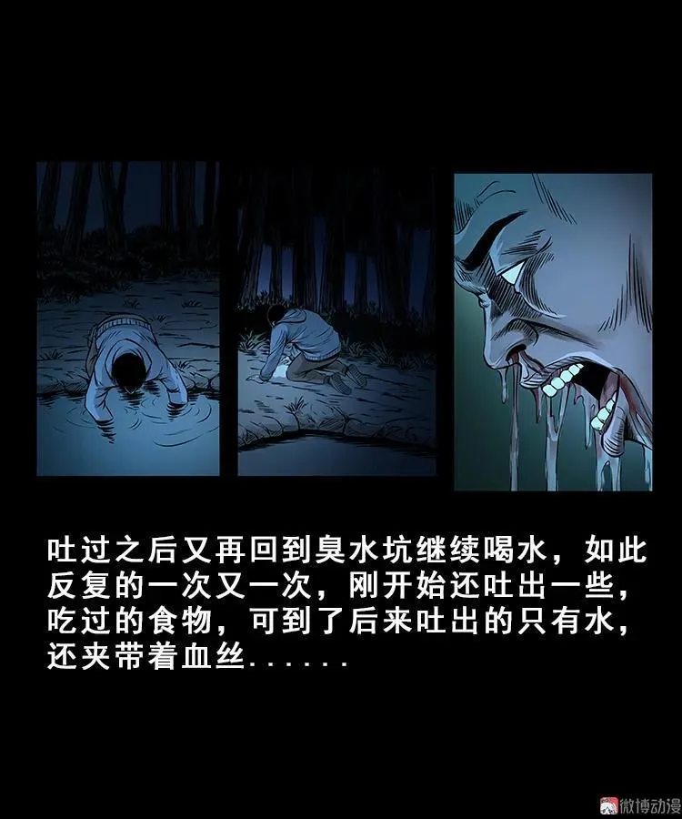 人面獾32