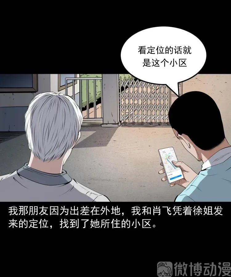 白头翁之猫灵3
