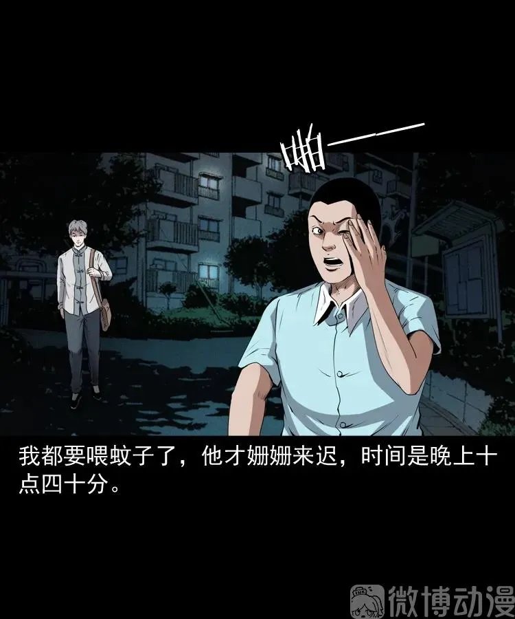 白头翁之猫灵61