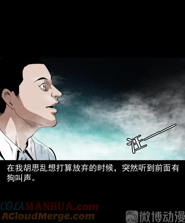 白头翁之抢魂（下）48