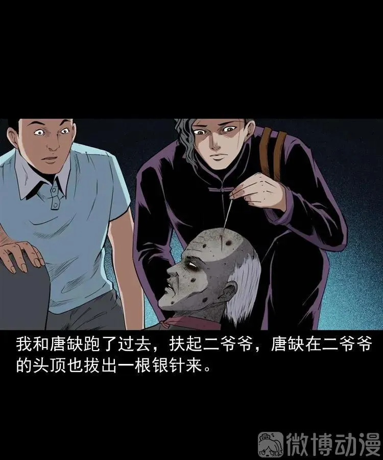 白头翁之诈尸下集70