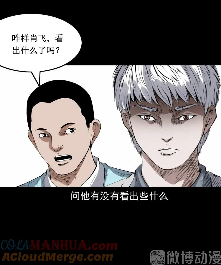 白头翁之猫灵48