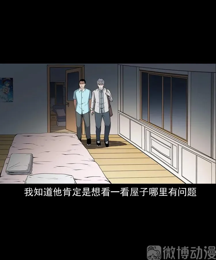 白头翁之猫灵46
