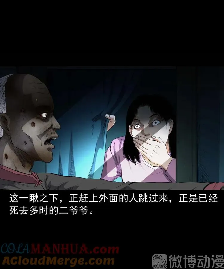 白头翁之诈尸上集51